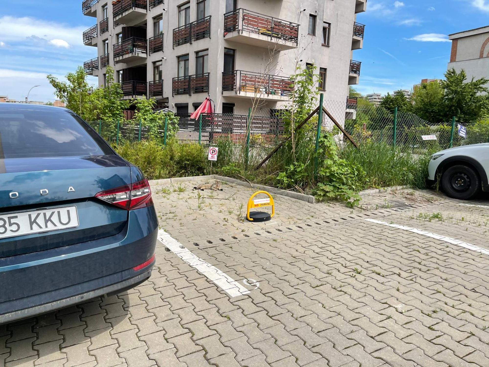 Relax Cluj Apartment And Terrace المظهر الخارجي الصورة