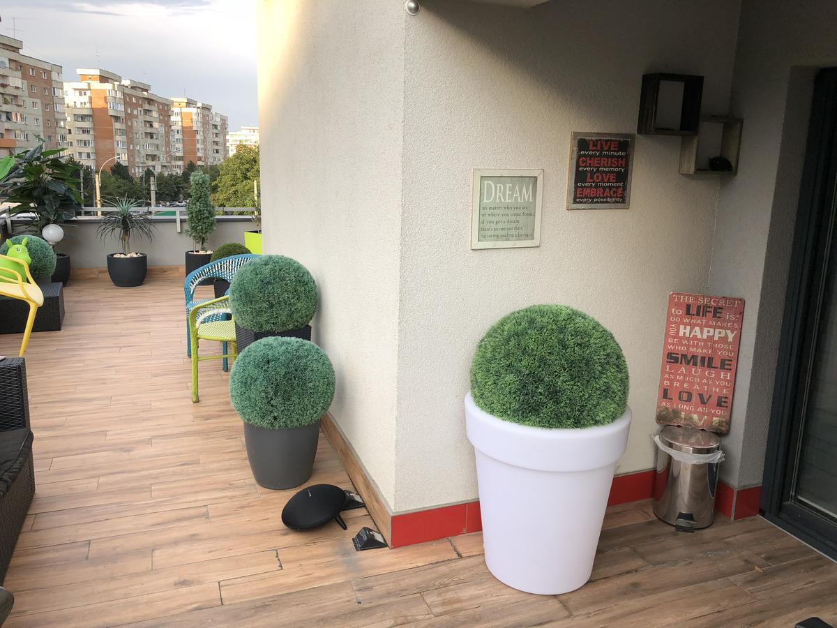 Relax Cluj Apartment And Terrace المظهر الخارجي الصورة